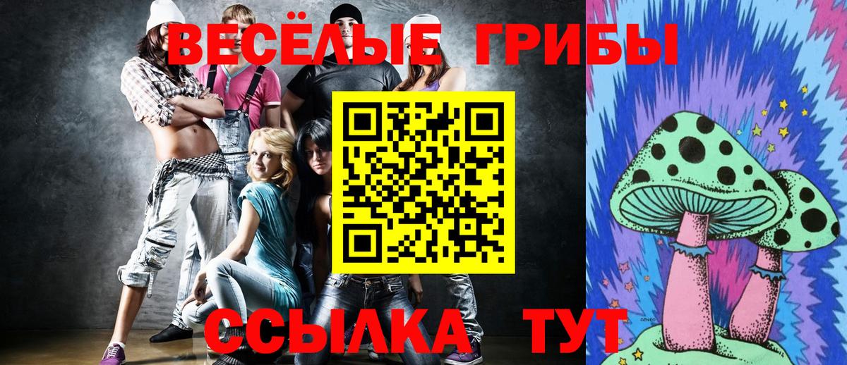 Псилоцибиновые грибы Psilocybe Севастополь