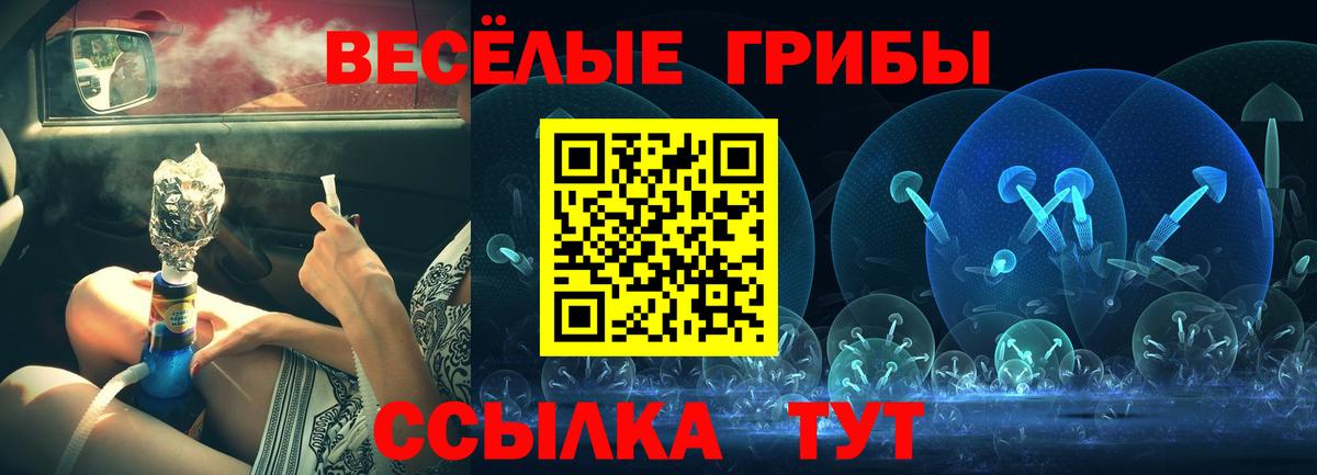 Севастополь  Псилоцибиновые грибы прущие грибы  Вход с VPN 